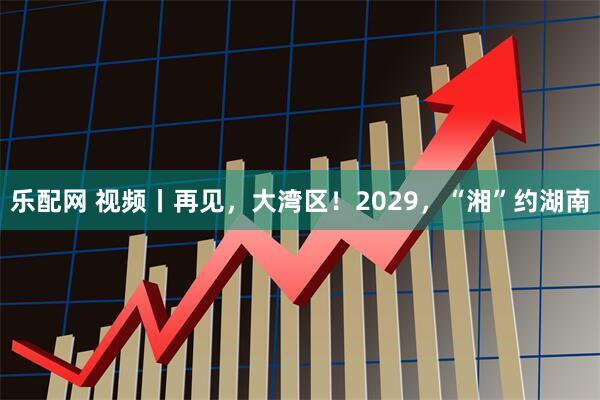 乐配网 视频丨再见，大湾区！2029，“湘”约湖南