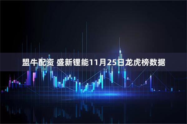 盟牛配资 盛新锂能11月25日龙虎榜数据