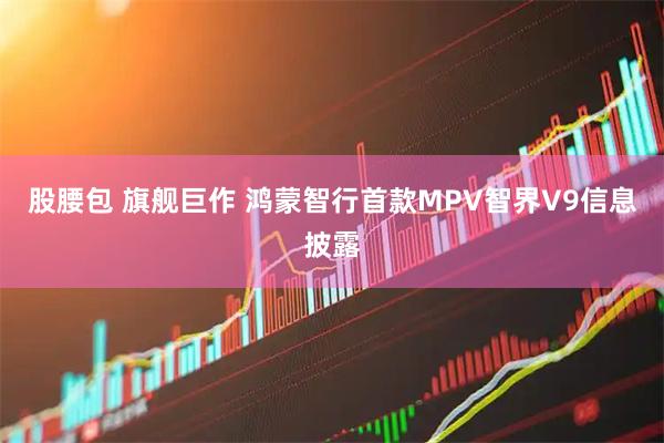 股腰包 旗舰巨作 鸿蒙智行首款MPV智界V9信息披露