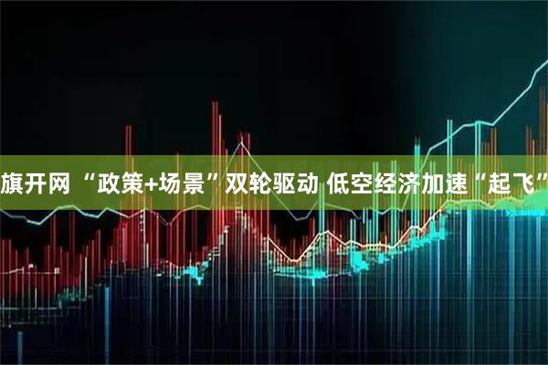 旗开网 “政策+场景”双轮驱动 低空经济加速“起飞”
