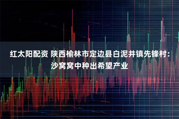 红太阳配资 陕西榆林市定边县白泥井镇先锋村：沙窝窝中种出希望产业